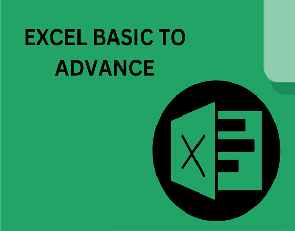 Basic and advanced Excel